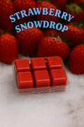 Strawberry Snowdrop 2.5oz Wax Melts